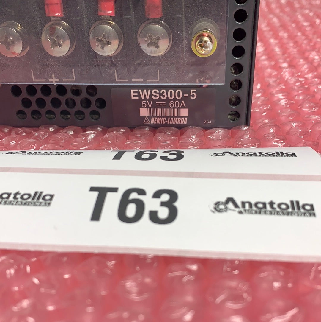 EWS300