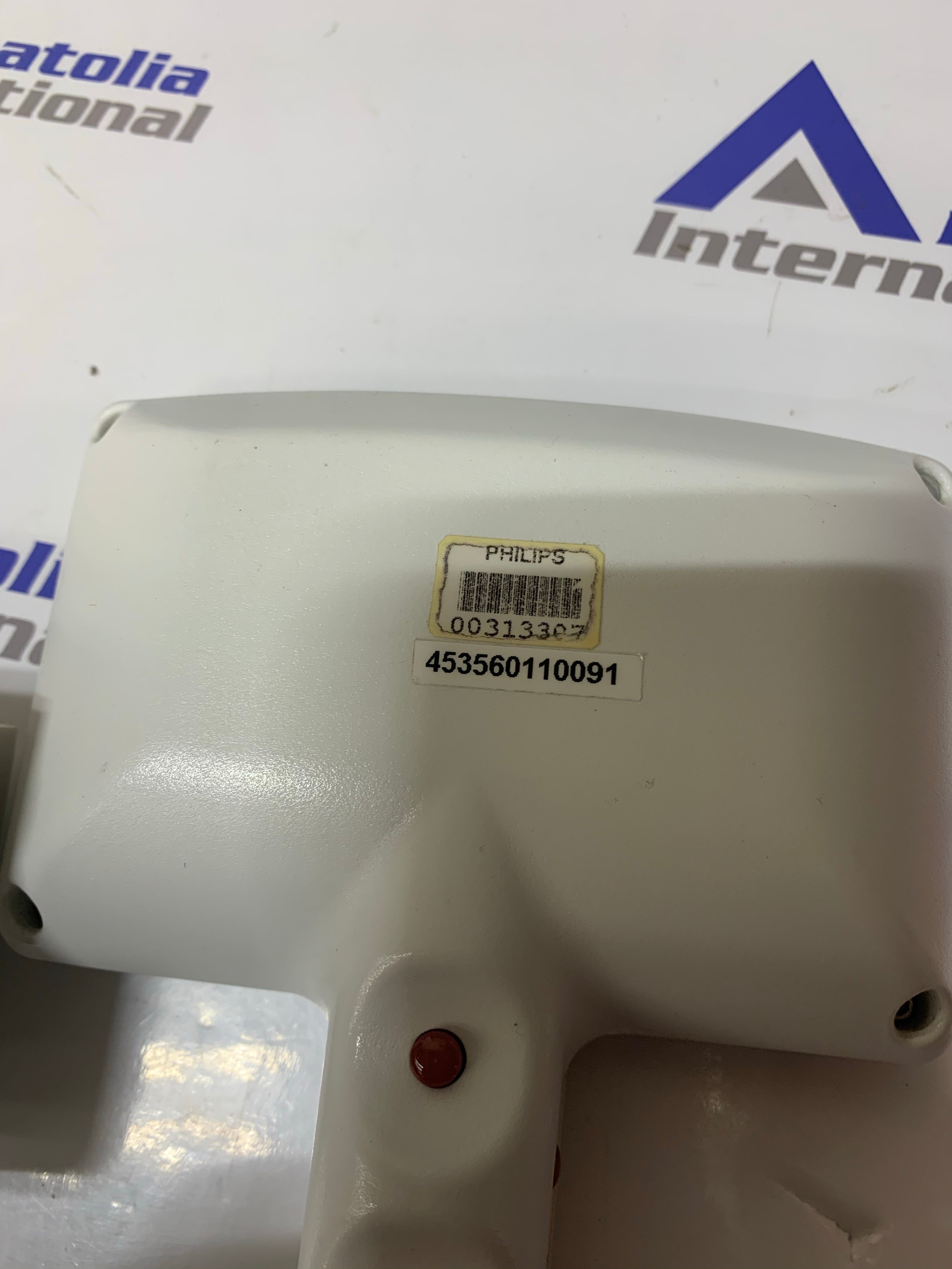 ボストンテリア ボストンテリア3Dモデルダウンロード用。TurboSquid